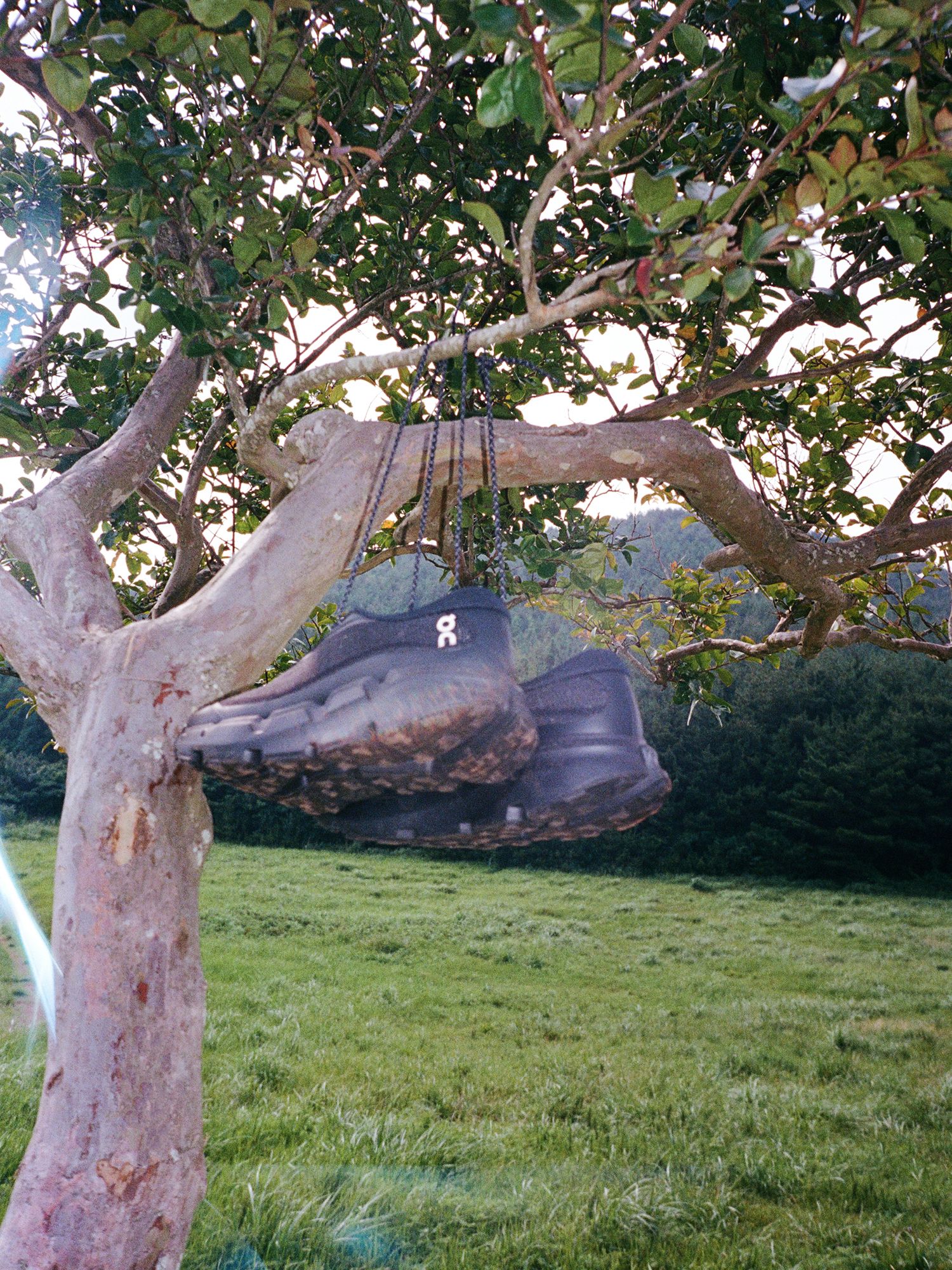 09.jpg