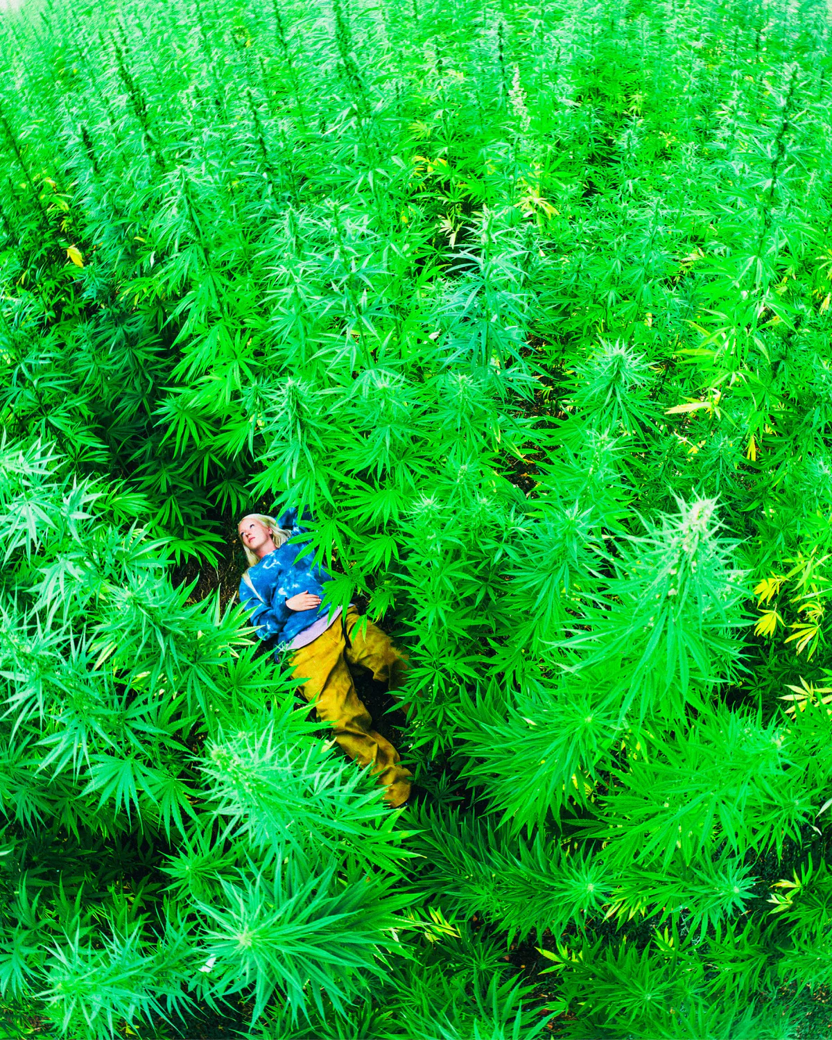 ORIGINAL FREEDOM HEMP FABRIC
